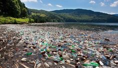 there are many glass bottles on the ground and one is saying, we are called to be artifacts of the future, not its victims