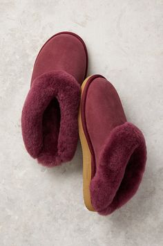 The Alyssa delivers a peak winter experience. Fashioned in 100% Australian Merino sheepskin upper, insole, and collar, these cozy shearling slippers feature a comfort foam midsole, while an exceptional Eva outsole with arch support gives you a stable base for standing and walking that never stops feeling great. The slip-on style makes these luxurious slippers easy to wear. Includes a memory foam midsole for luxurious comfort and durability. 1" heel. Slippers With Arch Support, Comfy Slippers, Shearling Slippers, Sheepskin Slippers, Slippers For Women, Slippers Cozy, Slide Slipper, Arch Support, Natural Wool