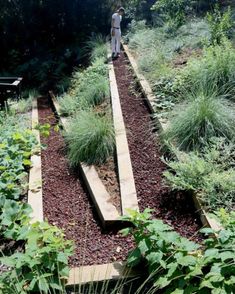 a man standing in the middle of a garden