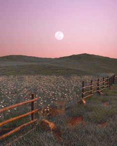 a fence in the middle of a field with flowers growing on it and a full moon above