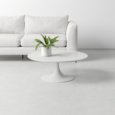 a white couch sitting next to a table with a potted plant on top of it