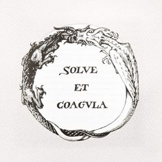 a black and white drawing of a dragon with the words solve et gogglya