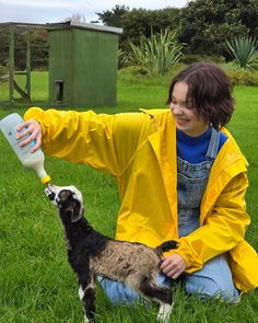 a woman in yellow raincoat feeding a goat with bottle on green grass covered field