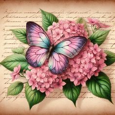 a painting of a butterfly sitting on top of pink hydrangeas and green leaves