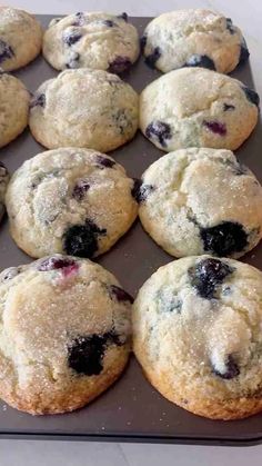 freshly baked blueberry muffins sitting on a baking tray ready to be eaten