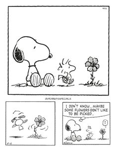 a cartoon strip with snoop's saying, i don't know you have some flowers