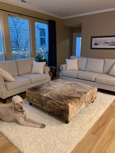 a dog laying on top of a rug in a living room next to two couches