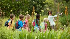 a group of children standing around each other in the grass with text overlay that reads laguna canyon foundation's education programs