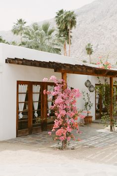 pink flowers in front of a white building with palm trees and mountains in the background