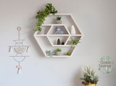 a white shelf with plants on it next to a potted plant and other items