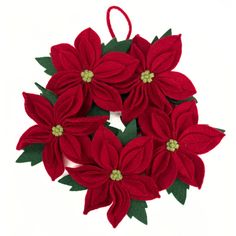 red poinsettia flowers with green leaves are arranged in a circle on a white background