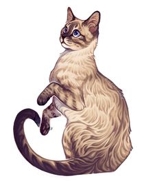 a drawing of a cat sitting on its hind legs