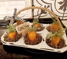 small oranges are placed in an egg carton with the word grow on it