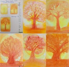 four different trees are shown in colored pencils and watercolor paper, each with an image of the same tree on it