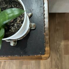 a potted plant sitting on top of a wooden table next to a metal object