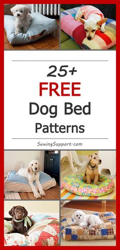 the 25 + free dog bed patterns are perfect for small dogs to use in their beds