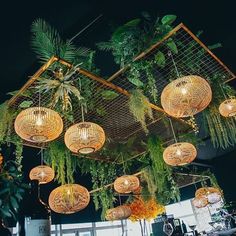 hanging plants and wicker baskets decorate the ceiling at an outdoor venue with lights on it