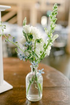 A classic busvase holding white and blue blossoms of lisianthus, delphinium and snapdragons for a very modern and classic reception. Bud Vases Arrangements, Classic Reception, Lisianthus Flowers, Chinoiserie Wedding, Baby Blue Weddings, Delphinium Flowers, Blue Blossom, Baby Shower Deco