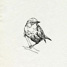 a black and white drawing of a bird