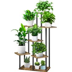 a set of four tiered plant stands with potted plants