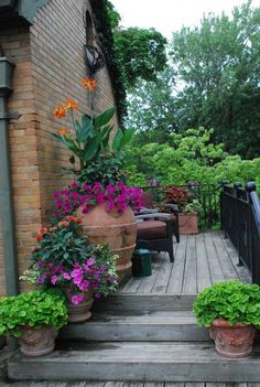 some potted plants are sitting on the steps