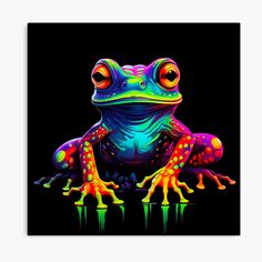 a colorful frog sitting on top of a black surface