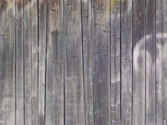 a cat sitting on the side of a wooden fence