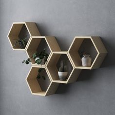 three hexagonal shelves with plants in them on the wall next to each other