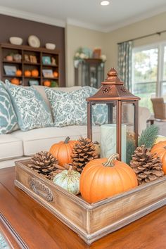 a tray filled with pumpkins and pine cones on top of a wooden coffee table