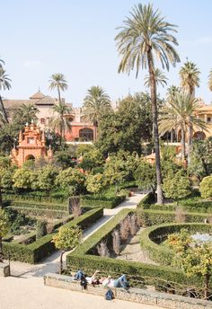 people are walking around the garden in front of some palm trees