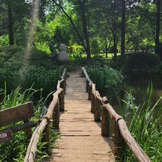 a wooden bridge over a small river in a park with tall grass and trees around it