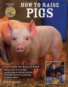 the cover of how to raise pigs