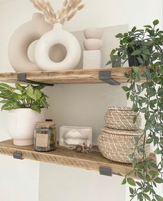 two wooden shelves with plants and vases on them