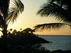 the sun is setting over the ocean with palm trees in front of it and a hut on an island