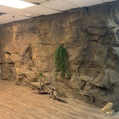 a large rock wall in an office with wood flooring and hard wood planks