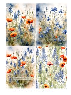 four different pictures of flowers with blue and orange colors