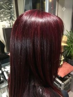 Aesthetic Hair Dye Ideas For Brunettes, Dark Fuchsia Hair, Res Hair Color, Dark Red Hair With Highlights, Dark Red Hair Aesthetic, Dark Wine Red Hair, Dark Maroon Hair, Dark Cherry Hair, Pelo Color Vino