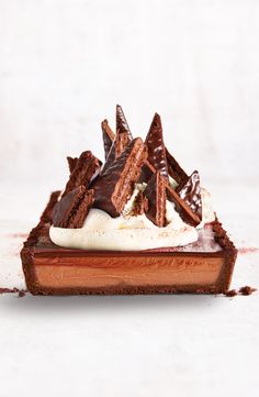 a piece of chocolate cake with ice cream on top and pieces of chocolate in the middle