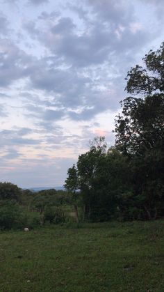 an open field with trees and animals in the distance under a cloudy sky at dusk