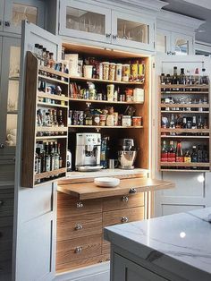 an open cabinet in a kitchen filled with lots of bottles and condiments on the shelves