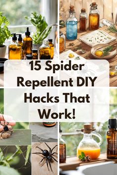 spider repellent diy hacks that work