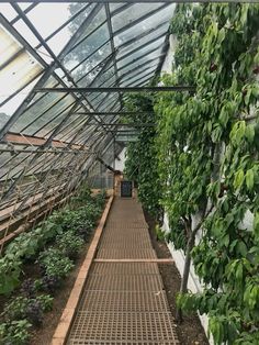 the inside of a greenhouse filled with lots of plants