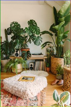 a living room filled with lots of plants