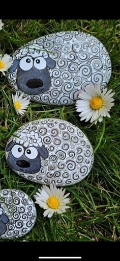 three painted rocks sitting in the grass with daisies around them and two sheep faces