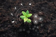 a close up of a plant growing out of the ground with letters and symbols around it