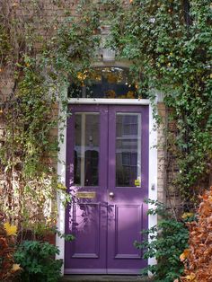 a purple front door surrounded by vines and flowers