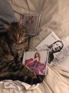 a cat laying on top of a bed next to two dvds and a t - shirt