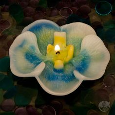 a candle is lit in the center of a blue and white flower with bubbles around it