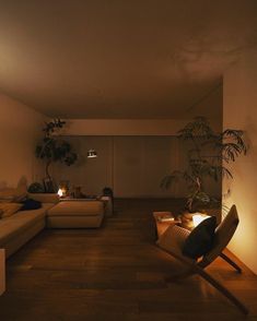 a living room filled with furniture and a potted plant on top of a table