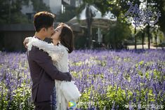 a man and woman are kissing in the middle of a field of purple flowers with houses in the background